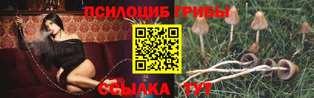 Галлюциногенные грибы MAGIC MUSHROOMS Костомукша