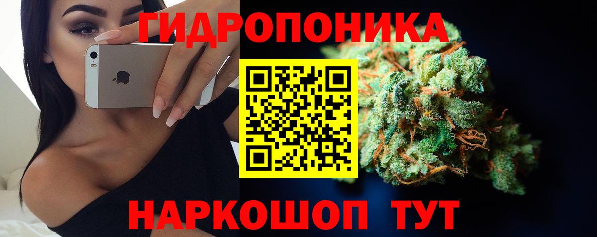 Марихуана планчик Костомукша